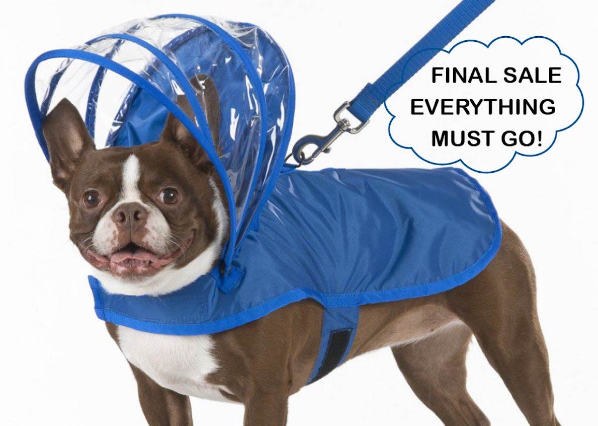 Royal Blue Dog Raincoat