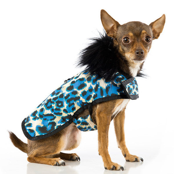 Blue Leopard Posh Puppy Coat