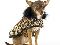 Soft faux leopard fur posh puppy coat