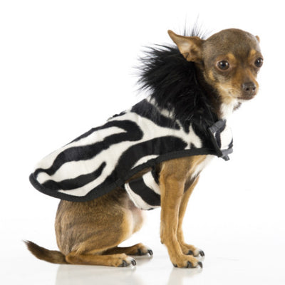 posh puppy coat - soft zebra fur