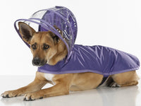 Purple Dog Raincoat