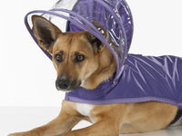 Purple Dog Raincoat
