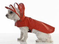 Red Dog Raincoat