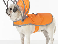 Safety Orange Dog Raincoat