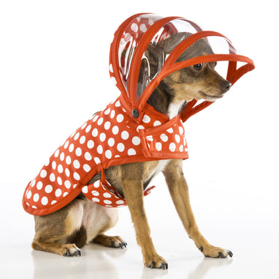 Red & White Polka Dot Dog Raincoat