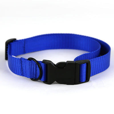 Royal Blue Dog Collar