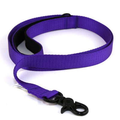 Purple Dog Collar